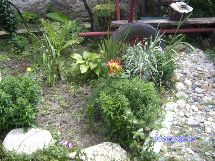 BILD5932