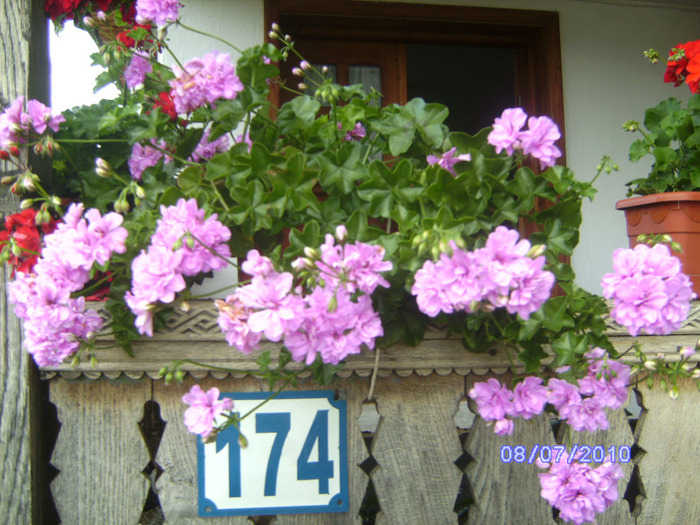 BILD5978