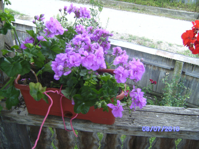 BILD5983