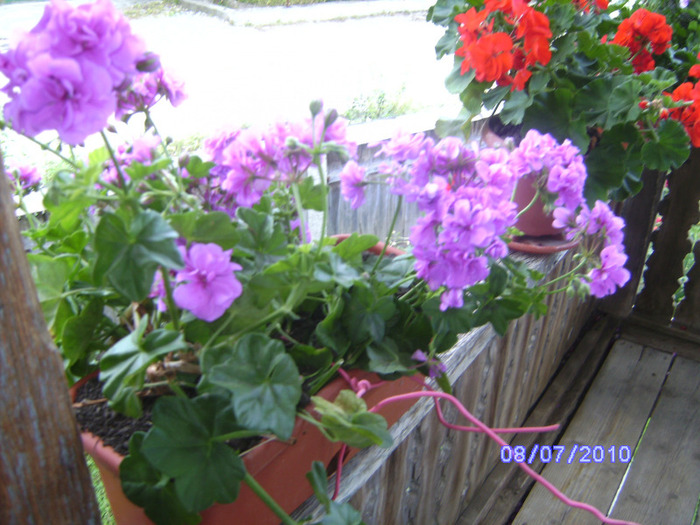 BILD5986