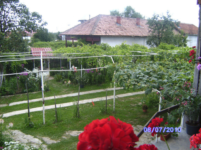 BILD5989