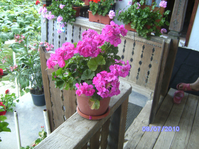 BILD5990