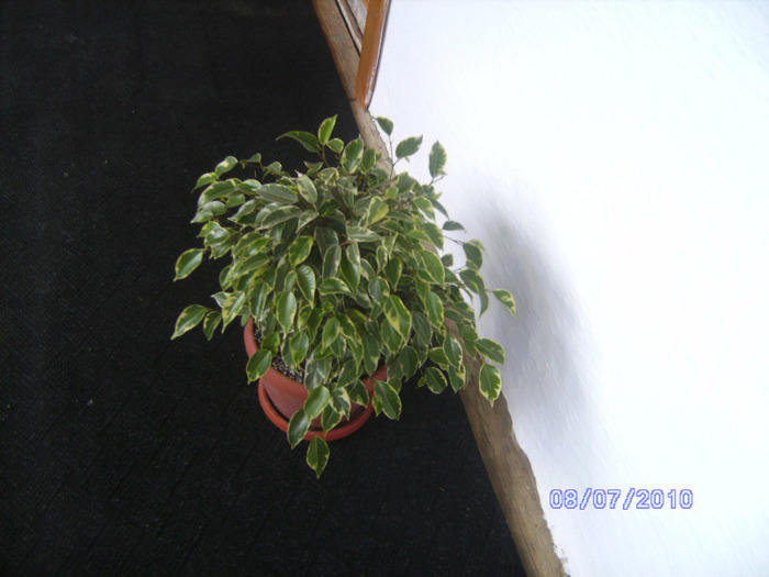 BILD5991