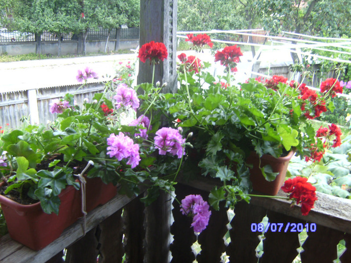 BILD5992