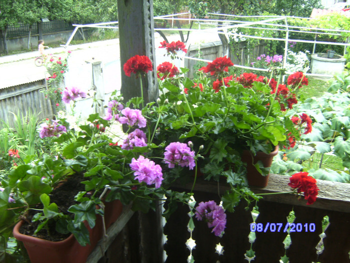 BILD5996