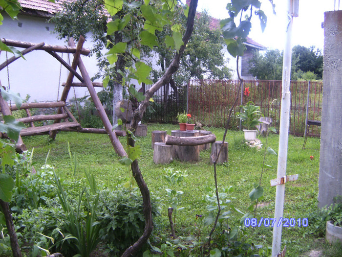 BILD6007