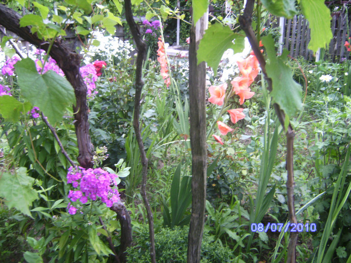 BILD6010
