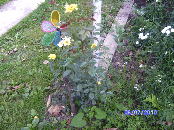 BILD6013