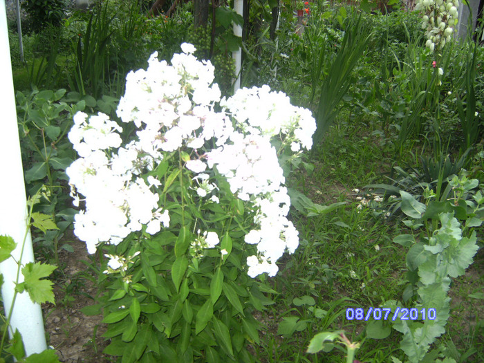 BILD6016