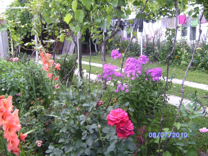 BILD6017