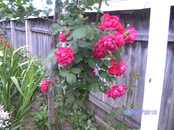 BILD6019