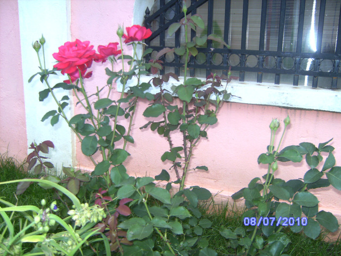 BILD6023
