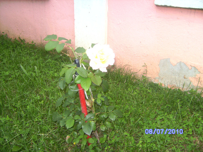 BILD6024