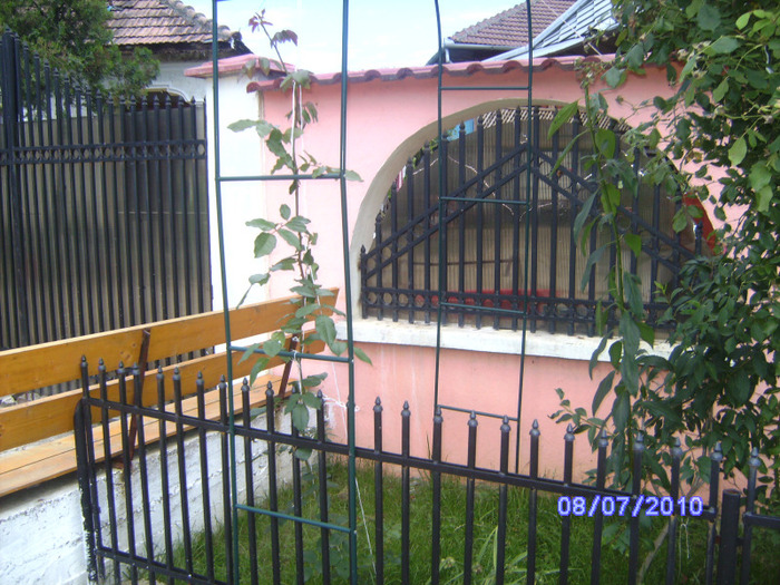 BILD6025