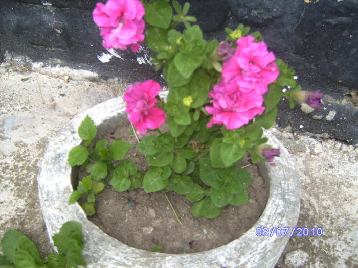 BILD6031