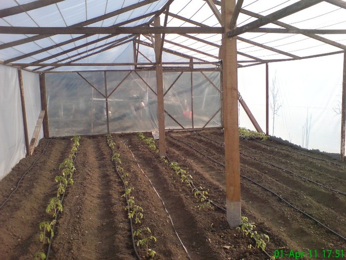 DSC05328 - Solarul la zi