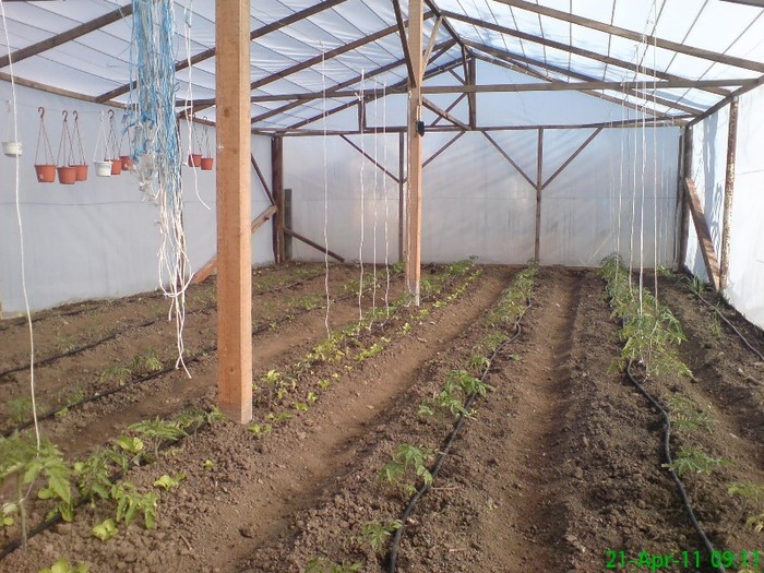 DSC05462 - Solarul la zi