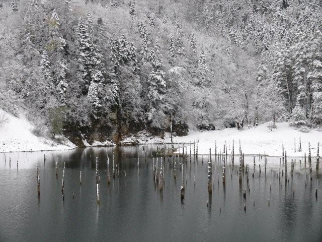 iarna-faina - natura