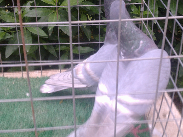 %u0635%u0648%u0631%u0629%u0661%u0663%u0661%u0663 - postagalamb