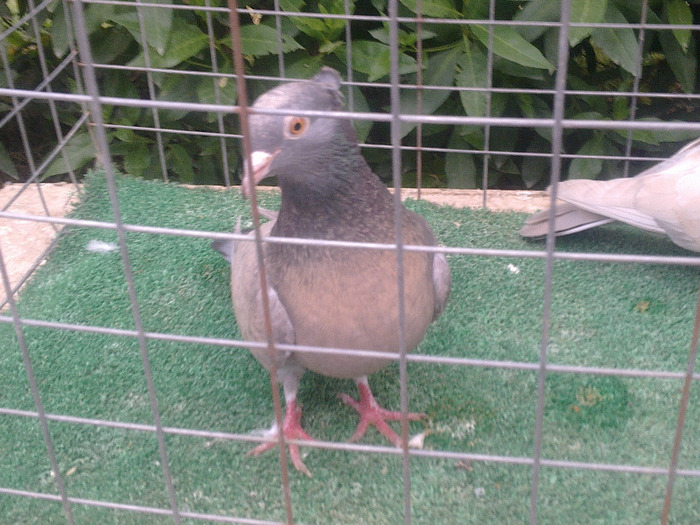 %u0635%u0648%u0631%u0629%u0661%u0663%u0662%u0663 - postagalamb