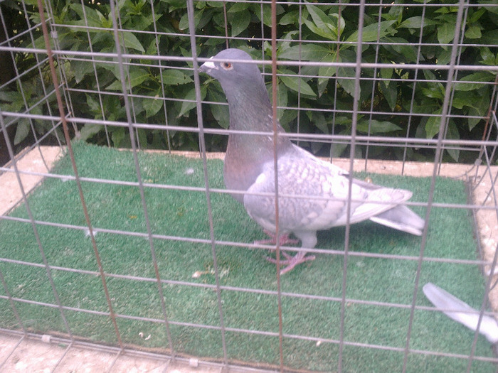 %u0635%u0648%u0631%u0629%u0661%u0663%u0663%u0662