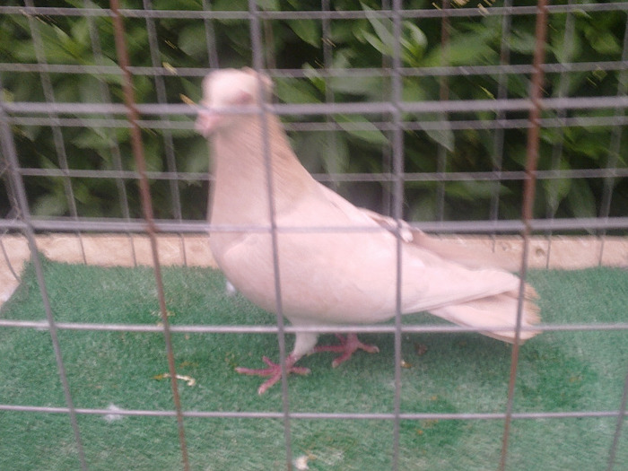 %u0635%u0648%u0631%u0629%u0661%u0663%u0665%u0665 - postagalamb