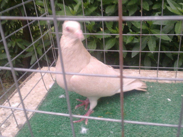 %u0635%u0648%u0631%u0629%u0661%u0663%u0665%u0668 - postagalamb