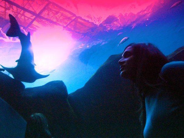 225892_214685435226046_100000537725520_779577_2211018_n