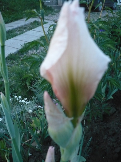 018