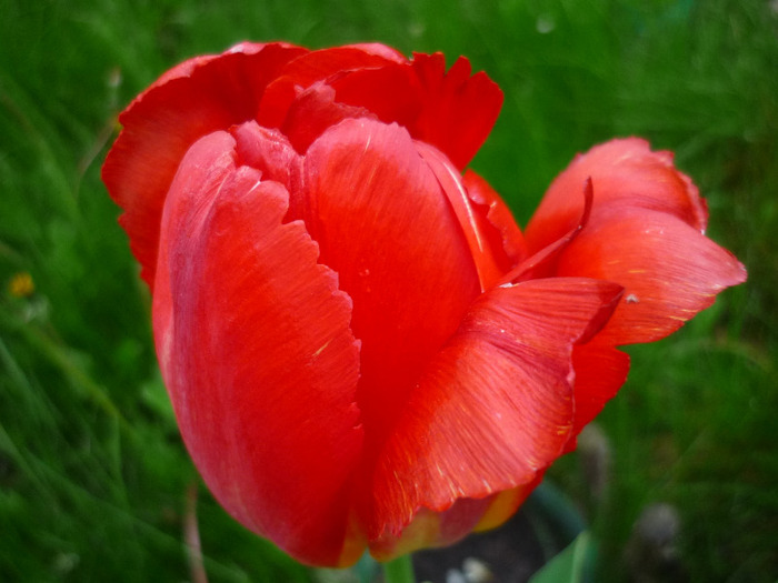 4 mai 2011