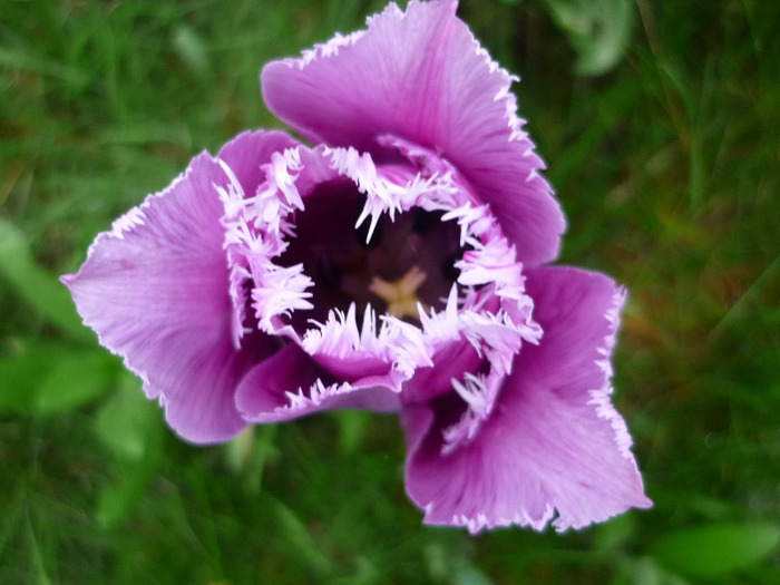 P1110506
