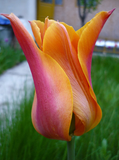 4 mai 2011