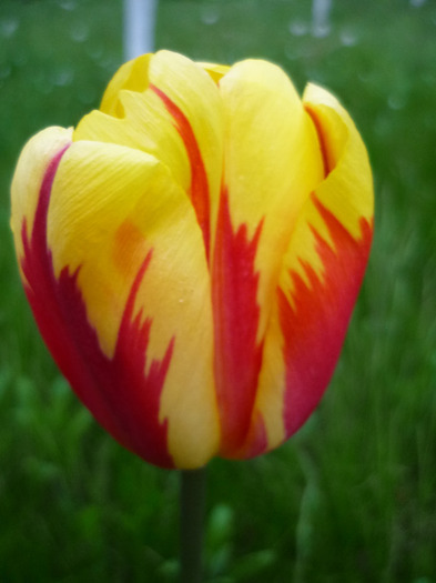 4 mai 2011