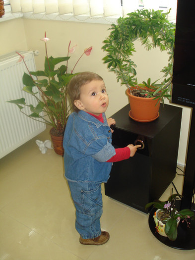 IMI DA VOIE CRISTI SA APAS PE EL:))