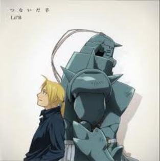 imagesCAXM0H0R - FMA