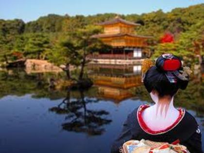 images - JAPONIA