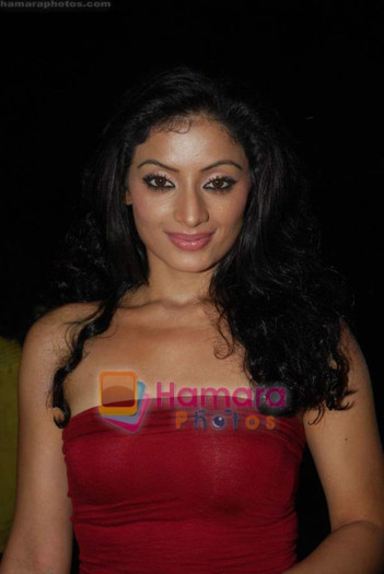 normal_Sonia Singh at Star One_s Dil mil gaye Party in Vie Lounge on 22nd Oct 2010 (4) - Sonia Singh