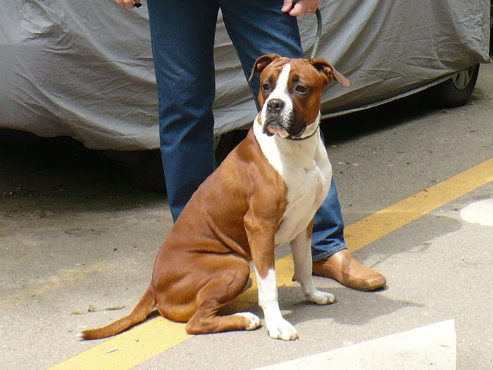 P1330892 crop