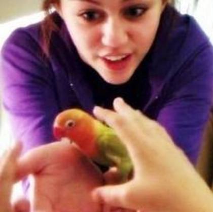 images (12) - Poze rare Miley