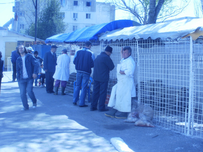 Vazut negociat ales - Targul de Pasti 2011