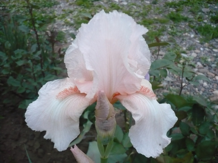 032