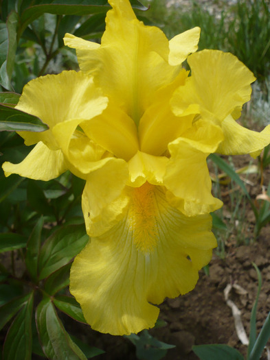 011