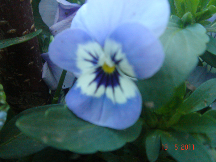 DSC06489