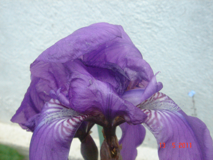 DSC06510