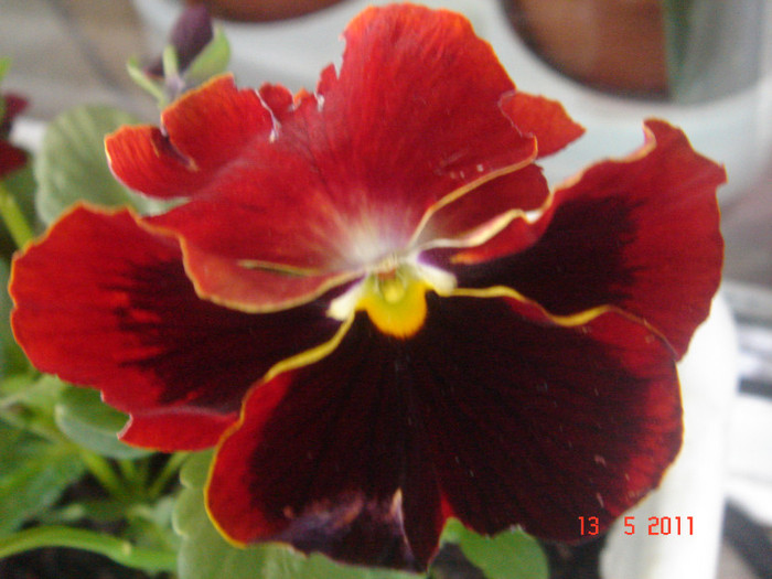 DSC06507