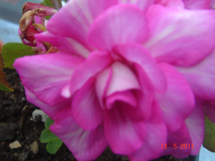 DSC06524