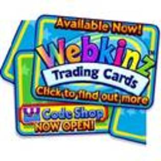  - Webkinz