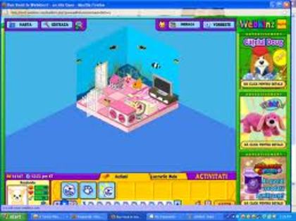  - Poze Webkinz si Camere Webkinz