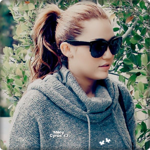 0093448403 - Miley