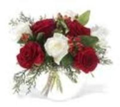 17189738_RIDHLCNND - trandafiri rosy